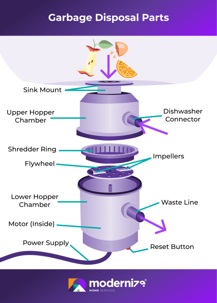 Illustrated infographic showing and labeling the main parts of a garbage disposal system