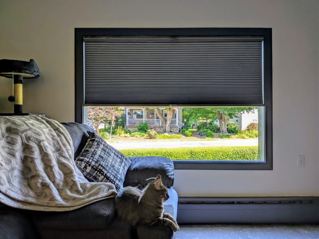 Picture Window With a Shade