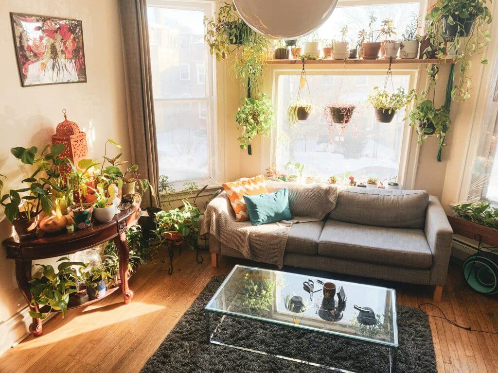 Chicago windows