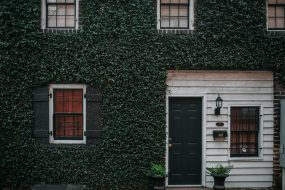 window replacement in Georgia