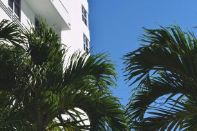 windows in florida