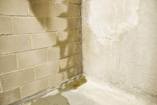 Water damage on basement wall