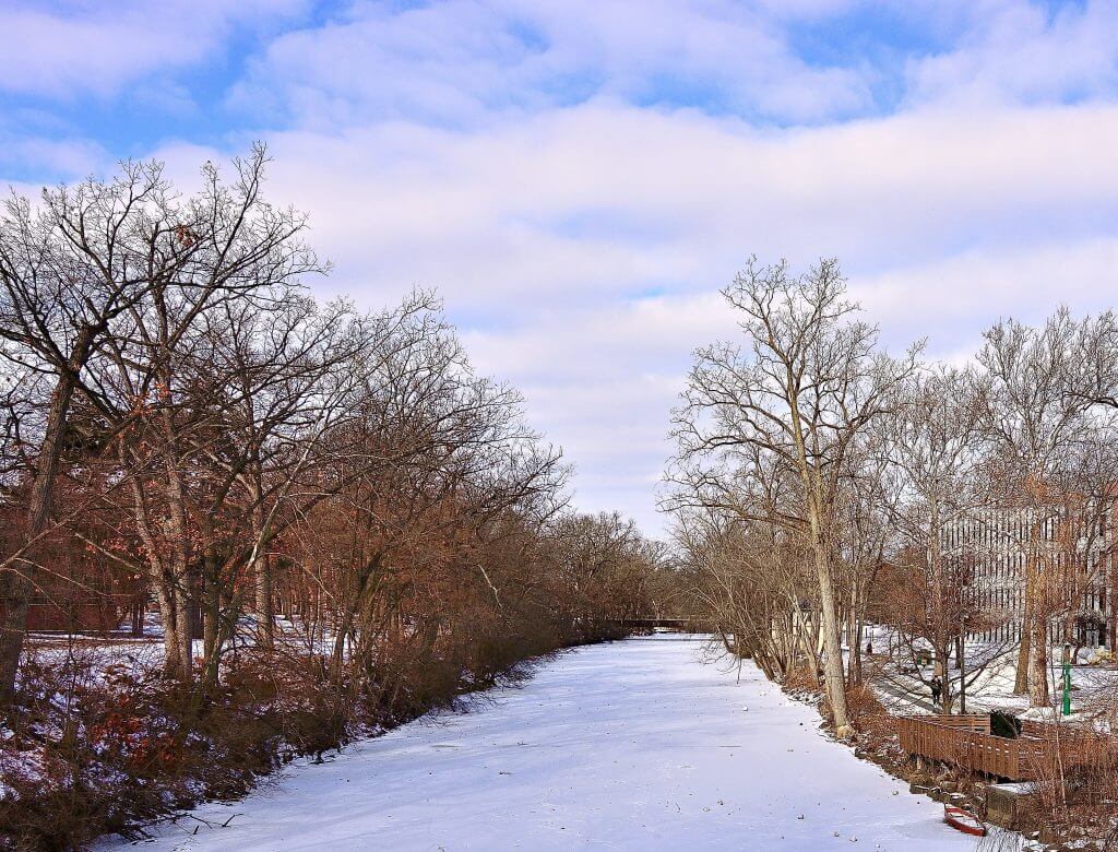 Photo of a snowy path lined by bare trees in East Lansing, MI