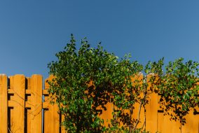 close up image of wooden fencing surrounding a home