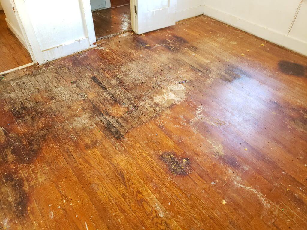 Wood floor that was damaged due to pet urine.