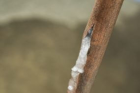 Frozen Pipe Repair Cost How Much It Costs to Fix or Replace Pipes