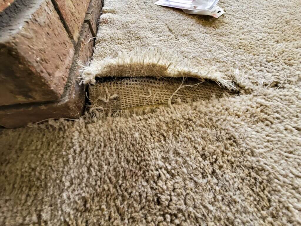 Damaged carpet seam showing delamination of the carpet