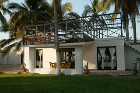 White house with large windows surrounded by palm trees