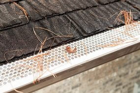 Gutter guard shielding gutter from pine needles