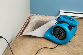 Dehumidifier drying out water damaged carpet