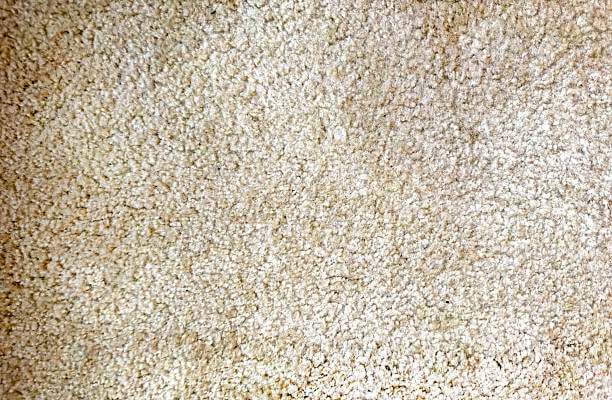Close up of a tan cut pile carpet